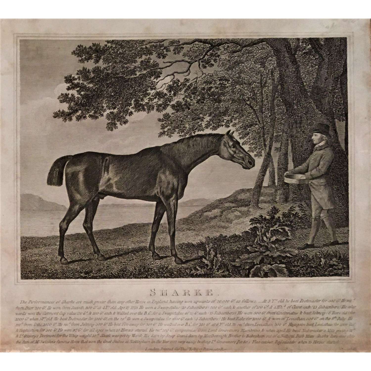 An antique print of the famous 18th Century Racehorse “Sharke