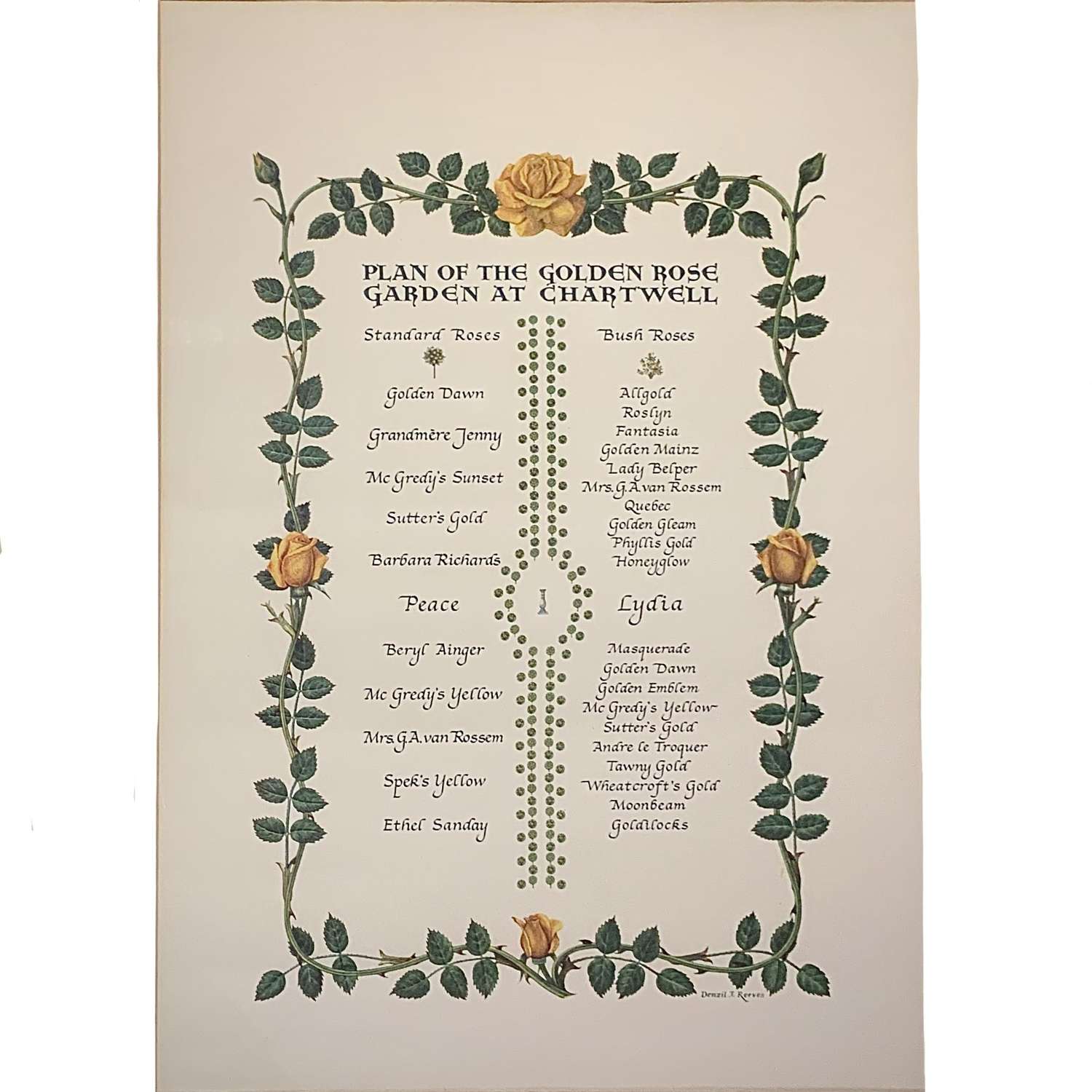 Sir Winston & Lady Clementine Churchill Golden Anniversary Rose Garden