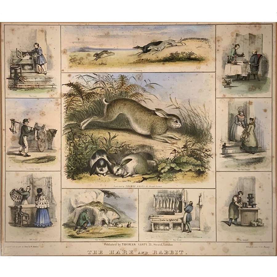 “The Hare and the Rabbit” Original Victorian Benjamin Hawkins Print
