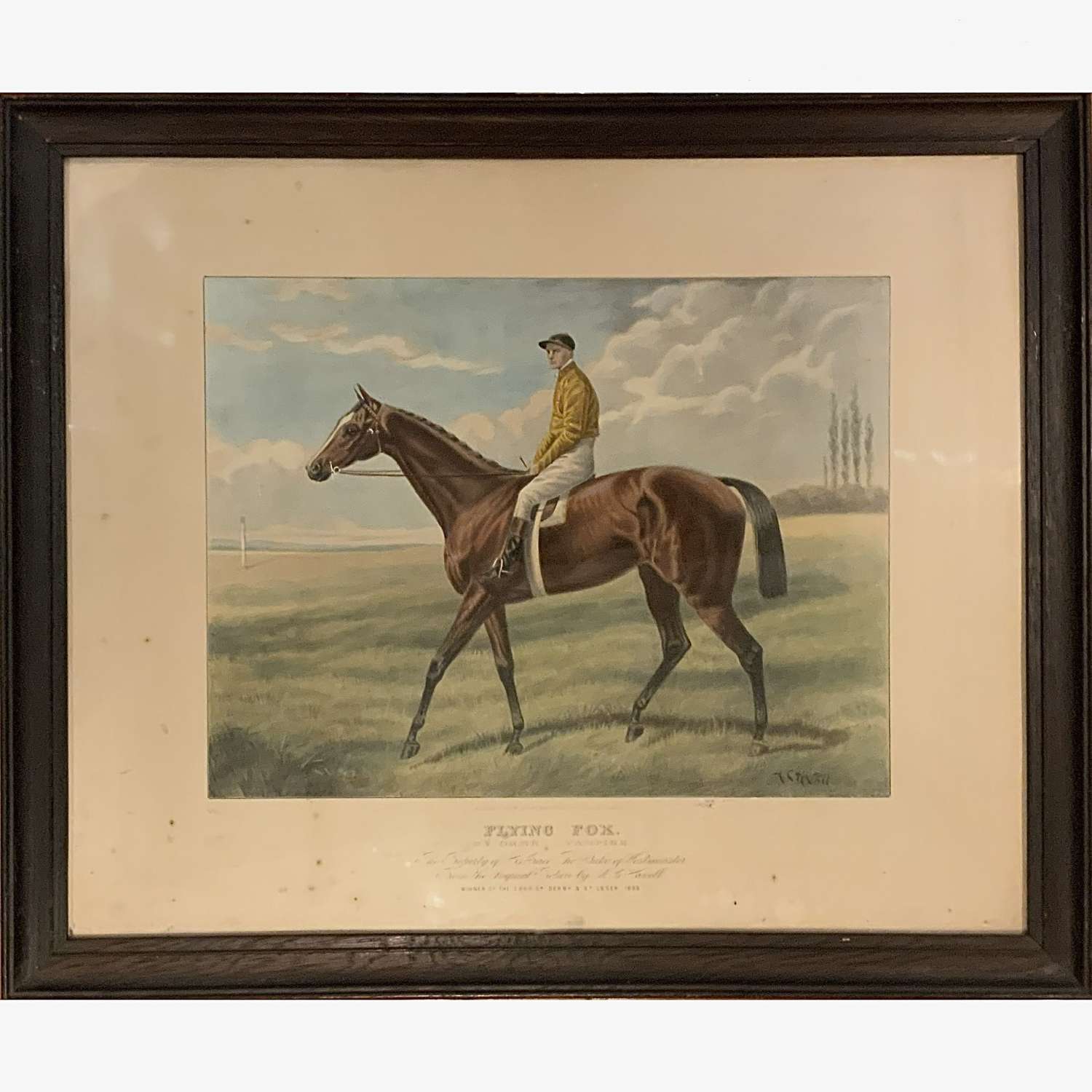Rare Print of 1899 Derby & Triple Crown Winning Horse “Flying Fox”