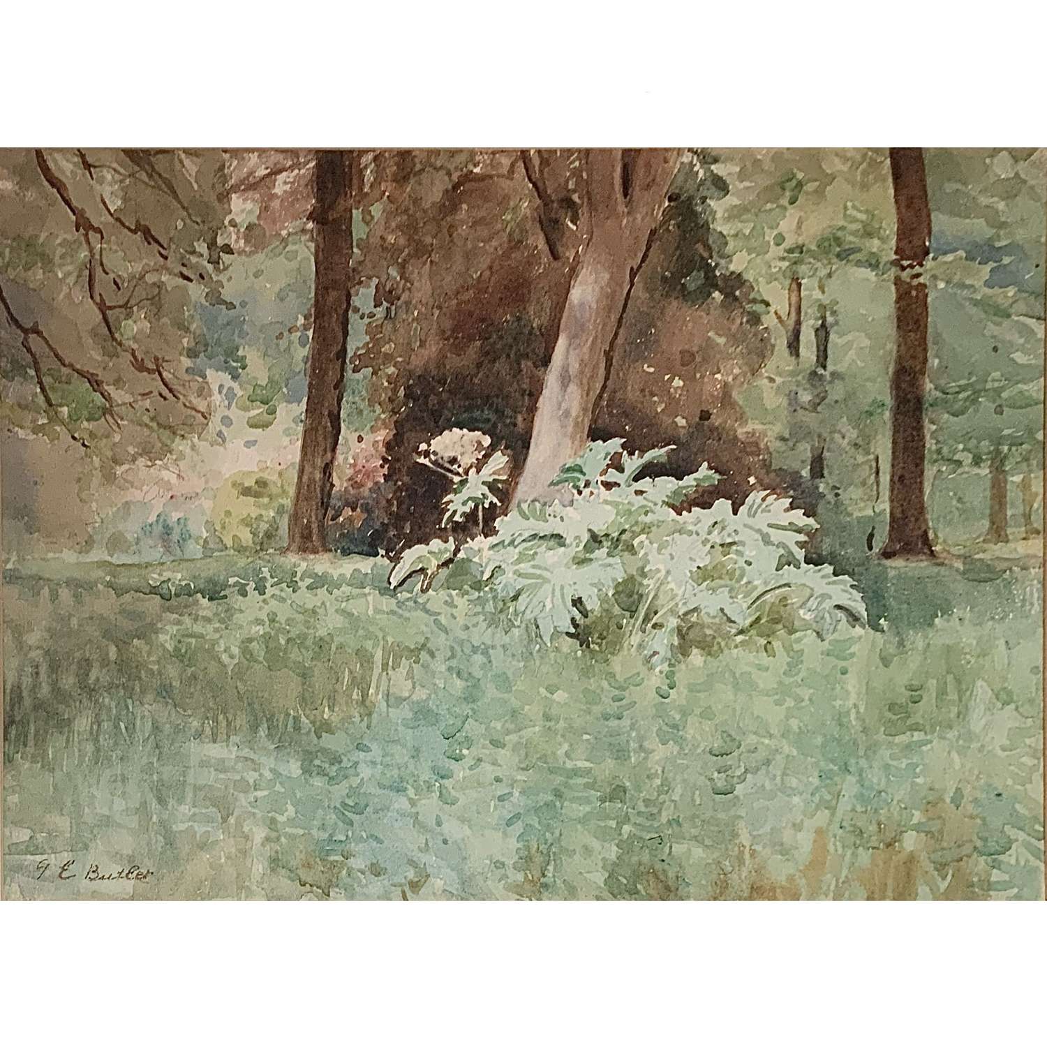 George Edmund Butler (1872-1936) ”The Isabella Plantation” Watercolour