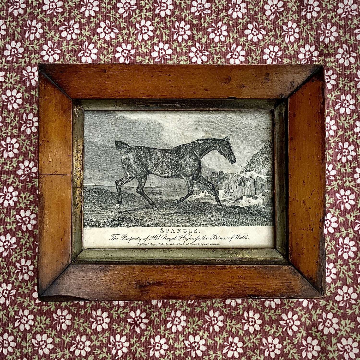 19th Century English Regency Print of Prince Regent’s Horse ‘Spangle’