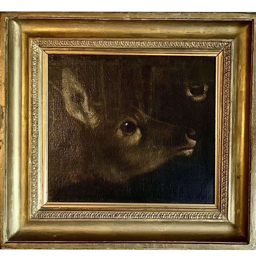 &ldquo;Study of Head & Muzzle of a Mammal&rdquo; (Deer or Kangaroo?) English School 18th/19th Century