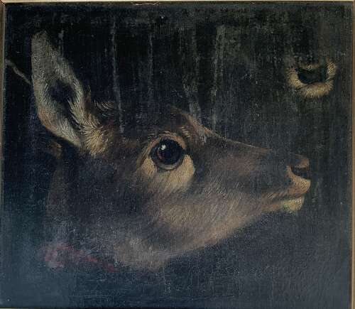 “Study of Head & Muzzle of a Mammal” (Deer or Kangaroo?) English School 18th/19th Century