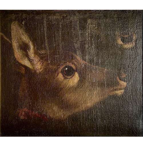“Study of Head & Muzzle of a Mammal” (Deer or Kangaroo?) English School 18th/19th Century