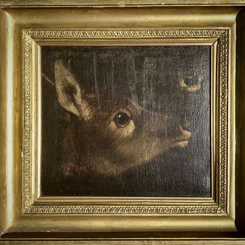 “Study of Head & Muzzle of a Mammal” (Deer or Kangaroo?) English School 18th/19th Century