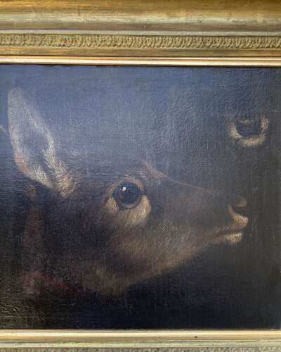 “Study of Head & Muzzle of a Mammal” (Deer or Kangaroo?) English School 18th/19th Century