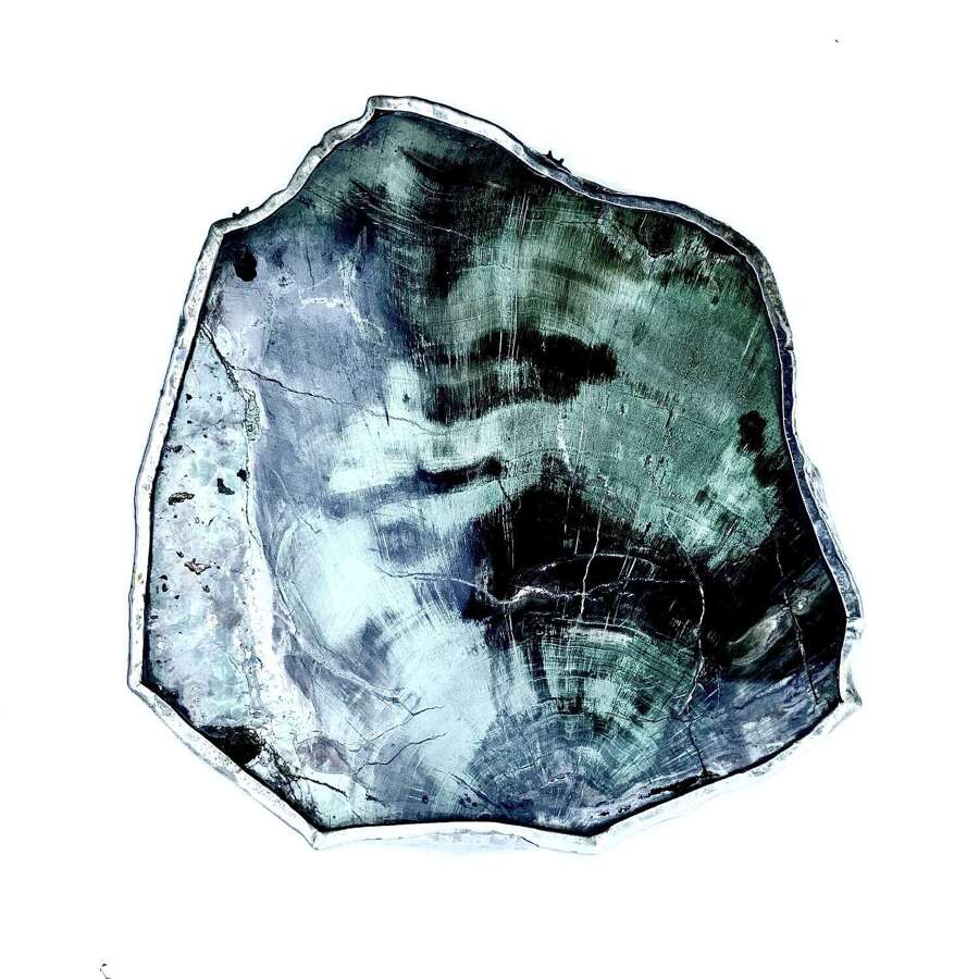 A Large White Metal Mounted Polished Section of Petrified Wood