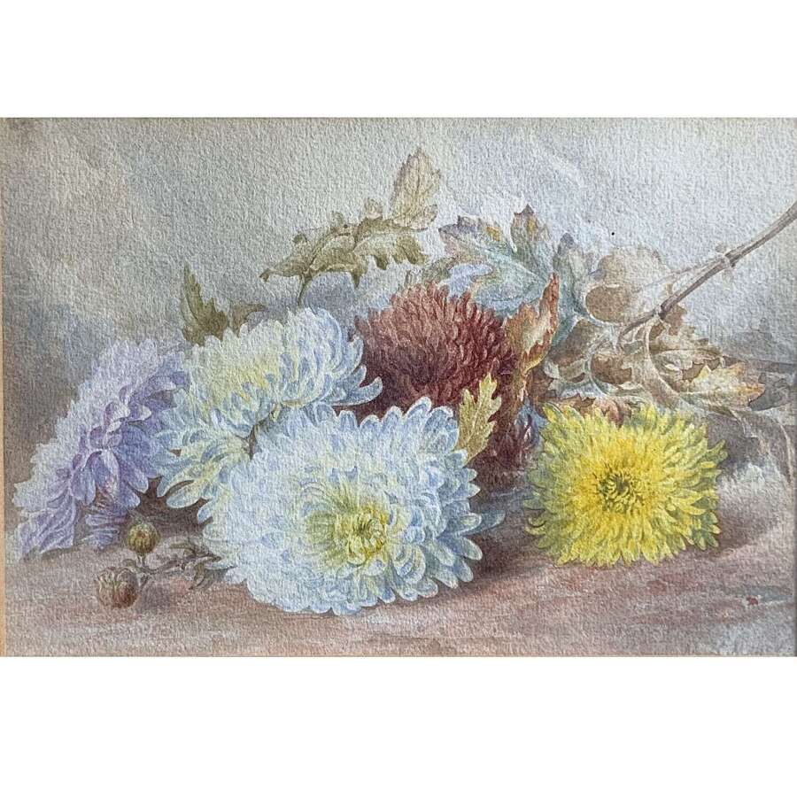 English School &ldquo;Chrysanthemums&rdquo; Early 20th Century  Watercolour